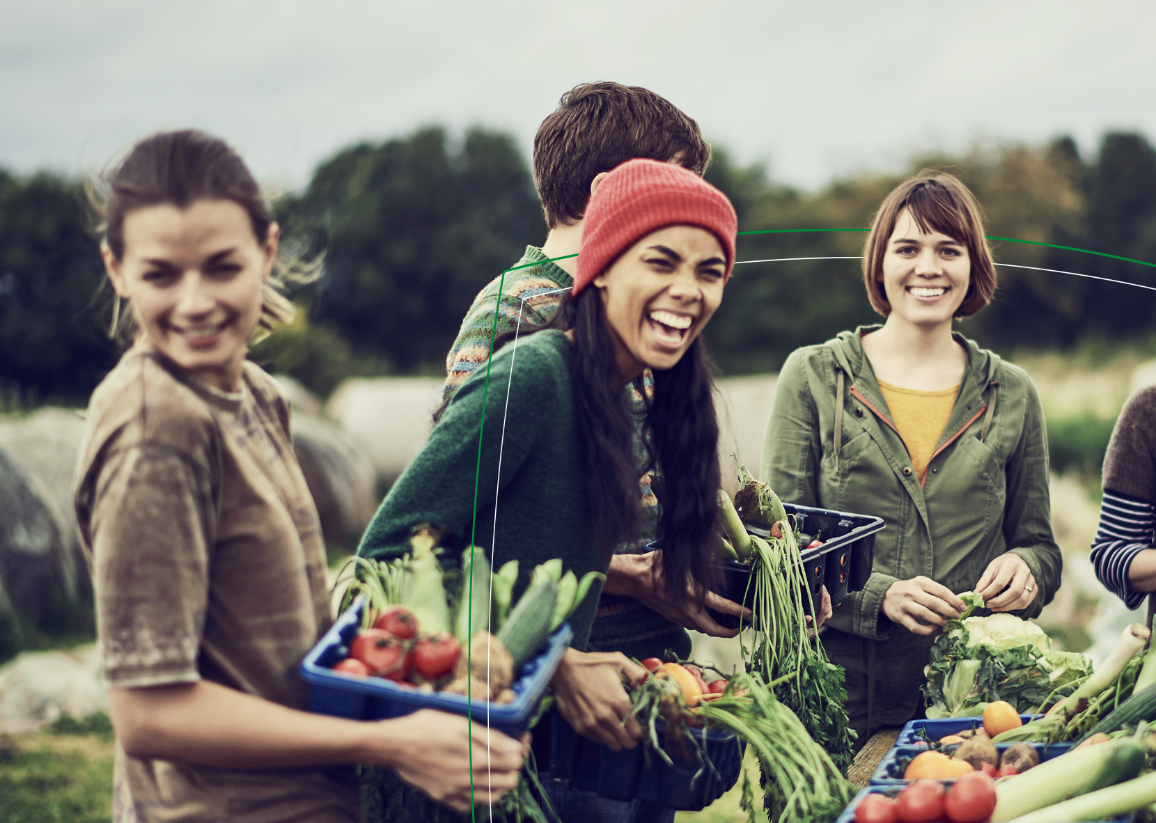 Group of people picking vegetables