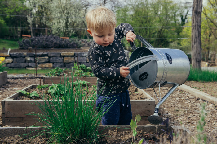 Young child watering plants in garden